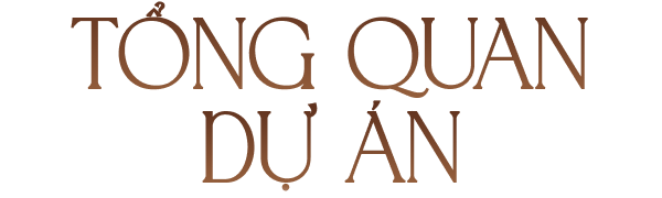 Tổng quan dự án