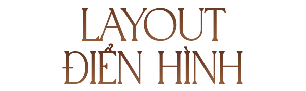 Layout điển hình